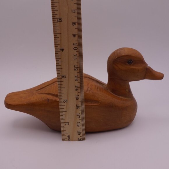 Wood Duck - Picture 8 of 16